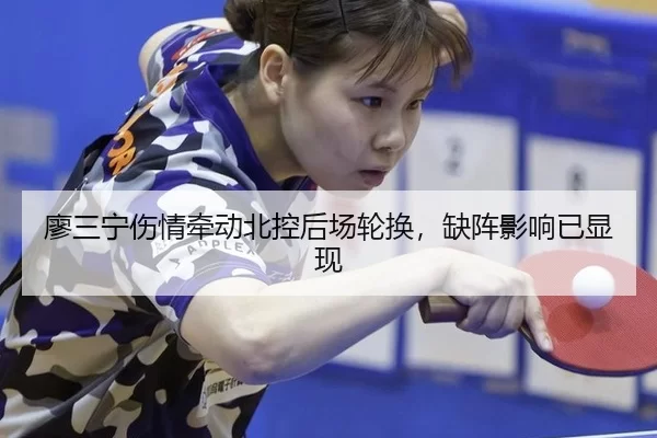 liao-san-ning-shang-qing-qian-dong-bei-kong-hou-chang-lun-huan-que-zhen-ying-xiang-yi-xian-xian-2-486.jpg